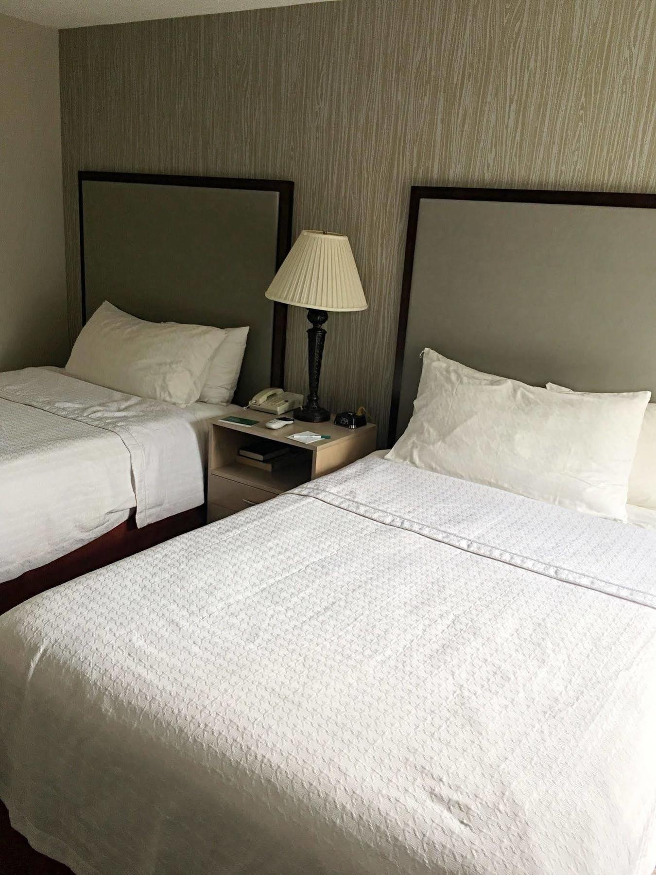 Homewood Suites By Hilton Chicago - Schaumburg Exteriör bild