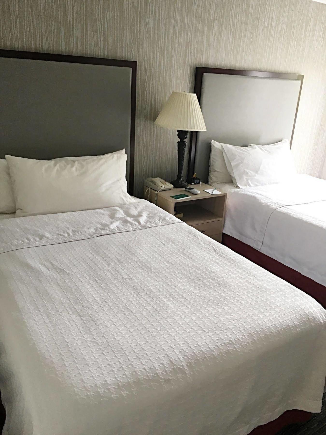 Homewood Suites By Hilton Chicago - Schaumburg Exteriör bild